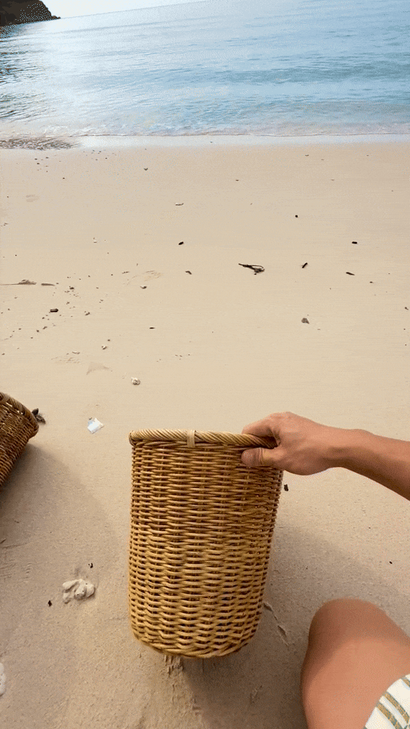 Cảnh đặc biệt ở bãi biển Côn Đảo: Du khách tham gia nhận xét "Trải nghiệm ý nghĩa chưa từng có trong đời"- Ảnh 7.