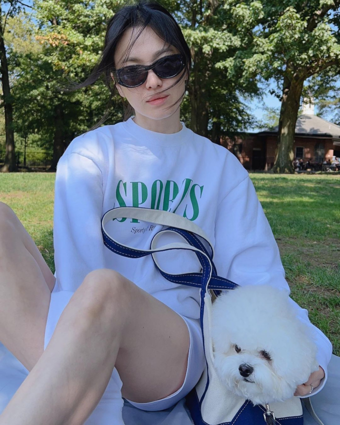 Độc thân không con cái, nhưng Song Hye Kyo lại chi gần 10 triệu đồng để mua xe đẩy cho cún cưng, ai hiểu cũng thấy thật đáng giá- Ảnh 2.