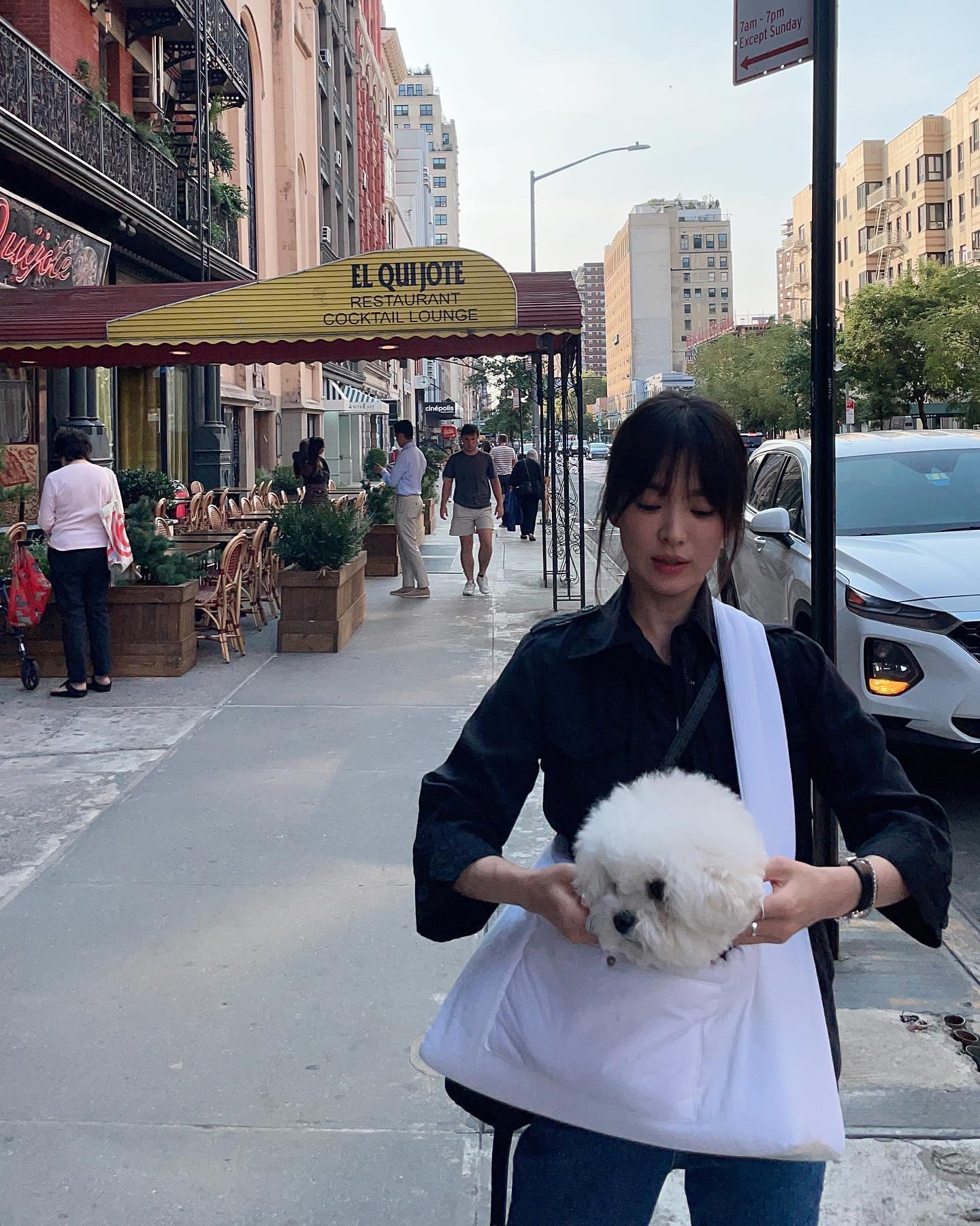 Độc thân không con cái, nhưng Song Hye Kyo lại chi gần 10 triệu đồng để mua xe đẩy cho cún cưng, ai hiểu cũng thấy thật đáng giá- Ảnh 3.