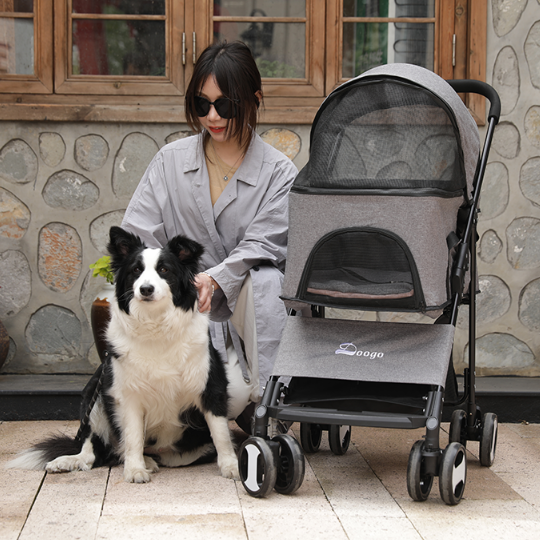 Độc thân không con cái, nhưng Song Hye Kyo lại chi gần 10 triệu đồng để mua xe đẩy cho cún cưng, ai hiểu cũng thấy thật đáng giá- Ảnh 10.