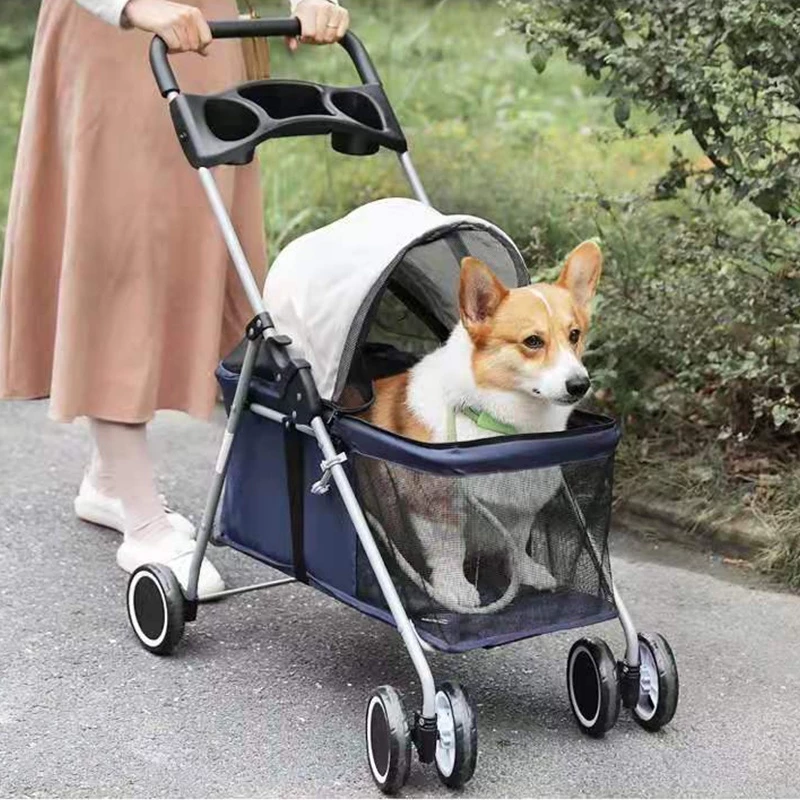 Độc thân không con cái, nhưng Song Hye Kyo lại chi gần 10 triệu đồng để mua xe đẩy cho cún cưng, ai hiểu cũng thấy thật đáng giá- Ảnh 11.