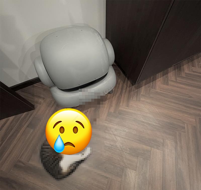 Xôn xao vụ bé mèo qua đời vì bị kẹt trong máy dọn vệ sinh thông minh cho mèo: Hội người dùng đưa ra cảnh báo- Ảnh 1.