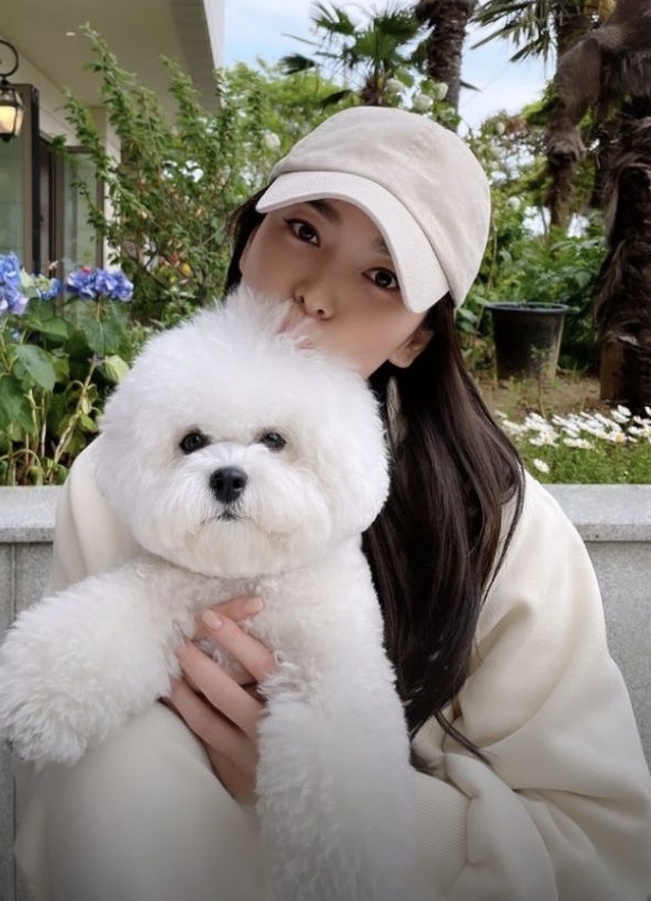Độc thân không con cái, nhưng Song Hye Kyo lại chi gần 10 triệu đồng để mua xe đẩy cho cún cưng, ai hiểu cũng thấy thật đáng giá- Ảnh 1.