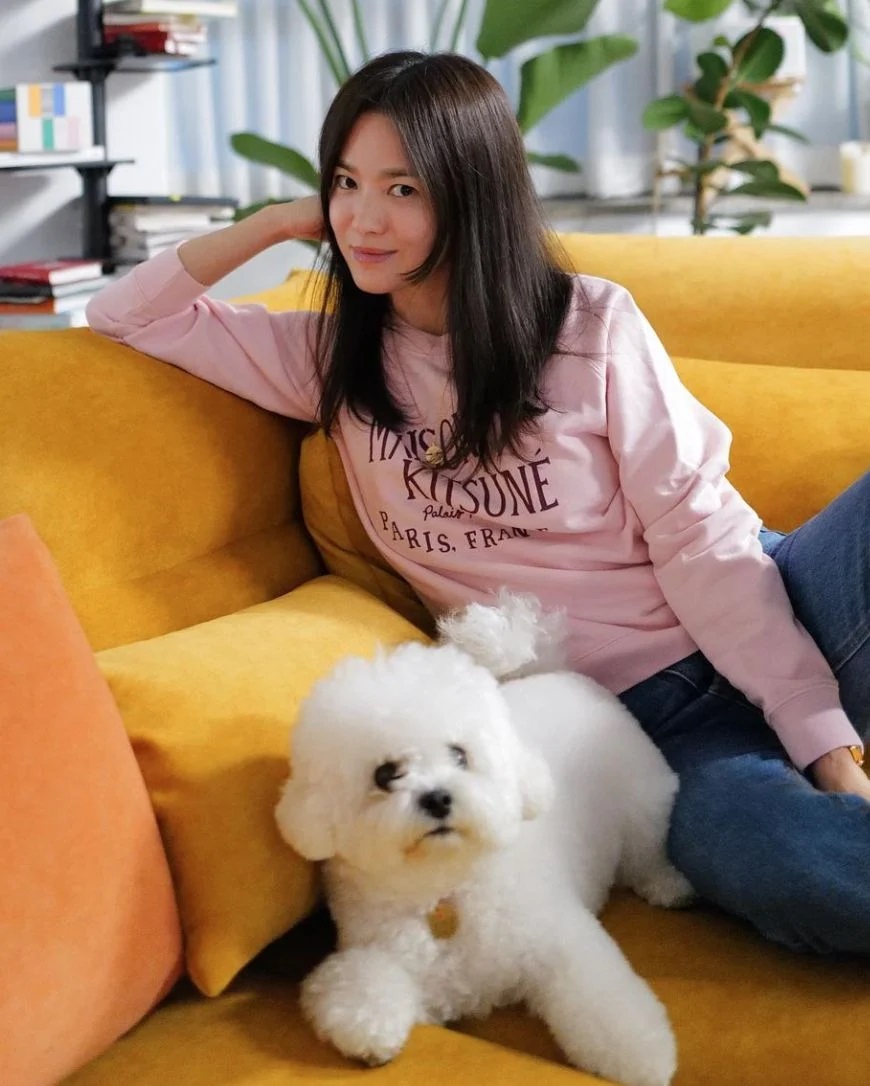 Độc thân không con cái, nhưng Song Hye Kyo lại chi gần 10 triệu đồng để mua xe đẩy cho cún cưng, ai hiểu cũng thấy thật đáng giá- Ảnh 6.