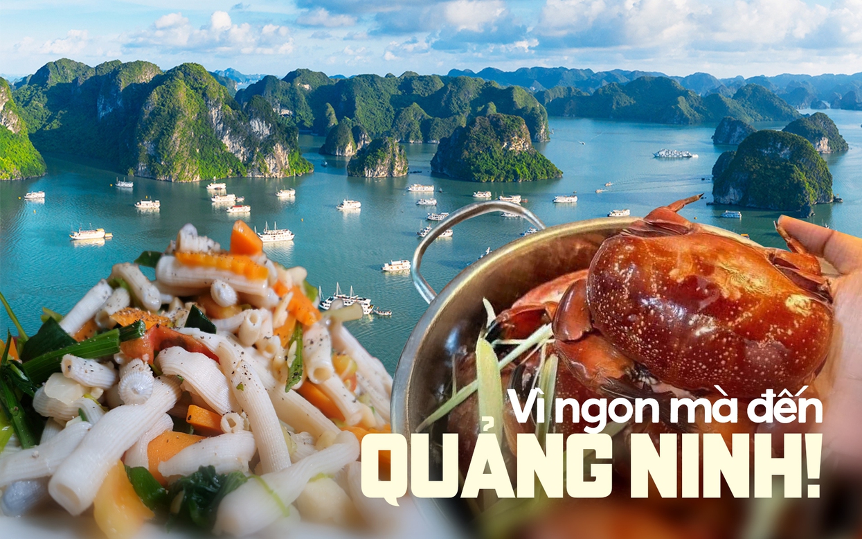 Có những người vượt hàng trăm cây số đến Quảng Ninh chỉ để ăn 3 món đặc sản này: Nhiều nơi khác cũng có nhưng không đâu ngon bằng!- Ảnh 1.