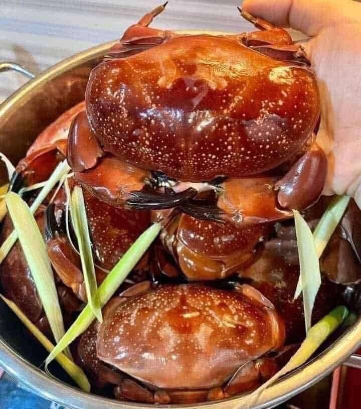Có những người vượt hàng trăm cây số đến Quảng Ninh chỉ để ăn 3 món đặc sản này: Nhiều nơi khác cũng có nhưng không đâu ngon bằng!- Ảnh 2.