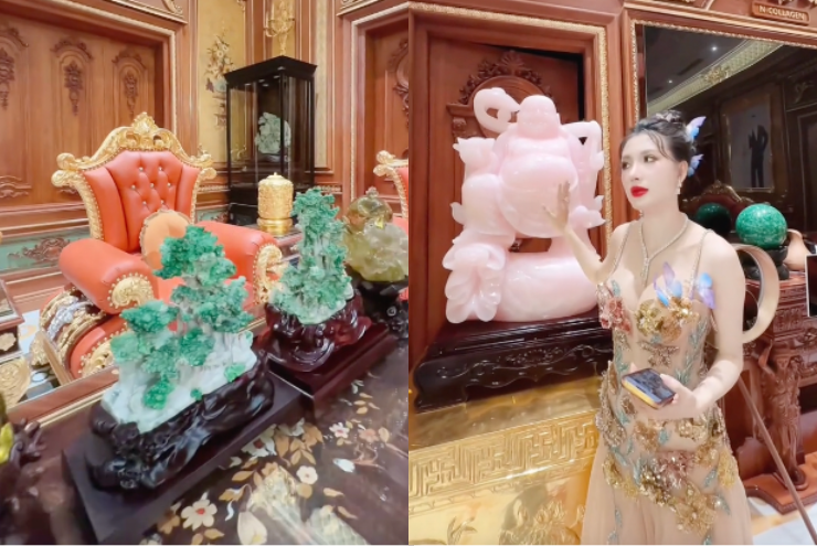 So kè khối tài sản của Ngân 98 và Ngân Collagen- Ảnh 7.