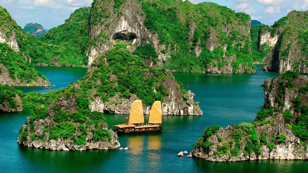 Có những người vượt hàng trăm cây số đến Quảng Ninh chỉ để ăn 3 món đặc sản này: Nhiều nơi khác cũng có nhưng không đâu ngon bằng!- Ảnh 8.