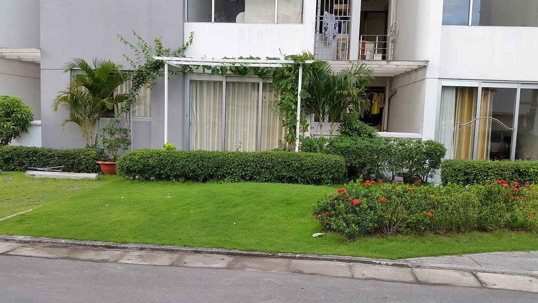 Vỡ mộng mua nhà có sân ở tầng trệt chung cư: người trong cuộc than trời, hàng ngày đều sống trong khổ sở- Ảnh 2.