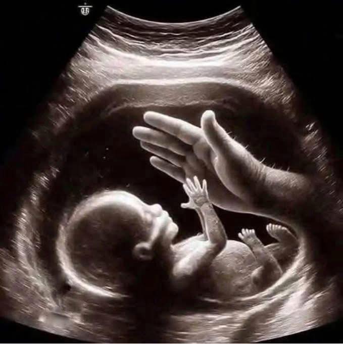 Nam diễn viên Việt và vợ Hoa khôi thông báo có con sau gần 2 năm kết hôn- Ảnh 1. Nam diễn viên Việt và vợ Hoa khôi thông báo có con sau gần 2 năm kết hôn- Ảnh 1.