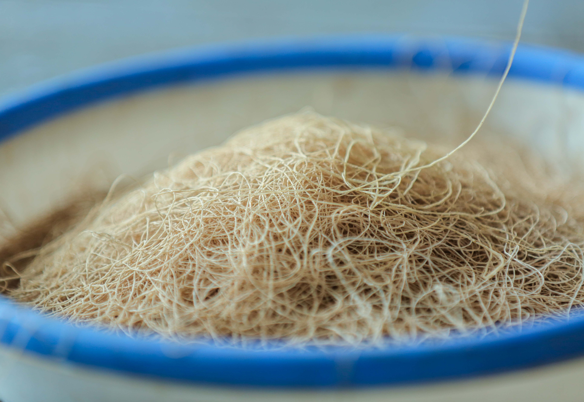 Khăn lụa tơ sen là gì, đắt và hiếm đến đâu?- Ảnh 1.