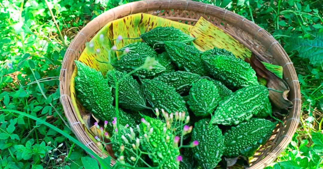 Ăn 1 nắm quả này quý như Ăn 1 nắm quả này quý như
