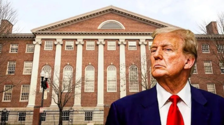 Ông Trump cho Đại học Harvard 30 ngày "kháng cáo"- Ảnh 1.