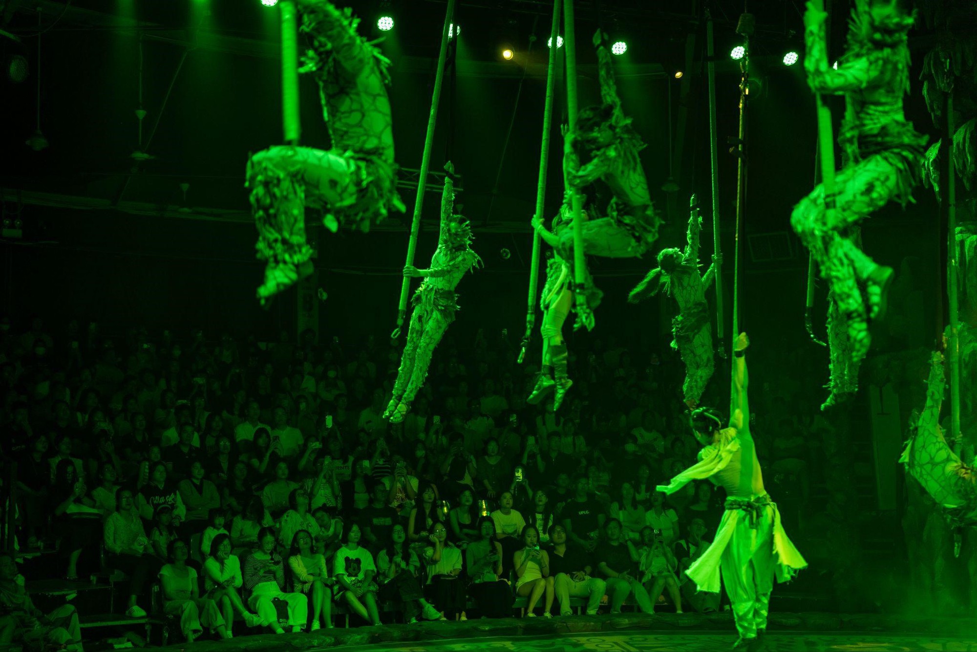 Xiếc Việt gây bão dịp lễ: Săn vé khó hơn concert, sân khấu xứng đáng 100 điểm còn diễn viên thì đẹp miễn chê- Ảnh 13.