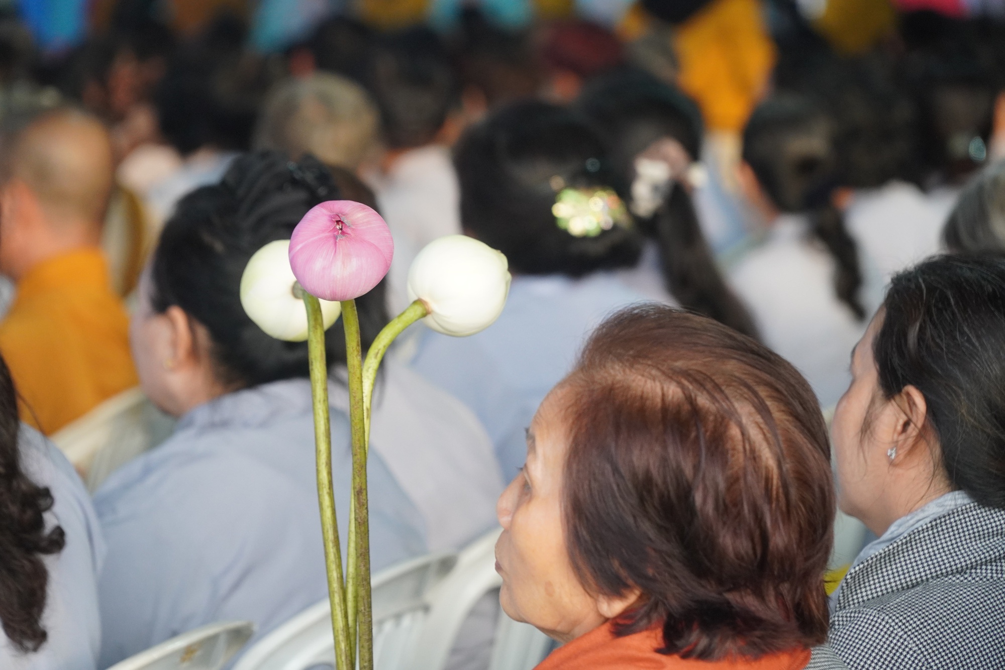 Hàng ngàn phật tử xếp hàng chờ chiêm bái Xá lợi Đức Phật ở Bình Chánh- Ảnh 4. Hàng ngàn phật tử xếp hàng chờ chiêm bái Xá lợi Đức Phật ở Bình Chánh- Ảnh 4.