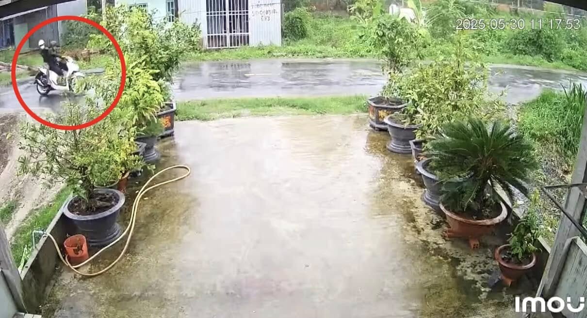Cây phượng ngã đổ làm dứt dây điện, khiến 2 người bị điện giật tử vong- Ảnh 3.