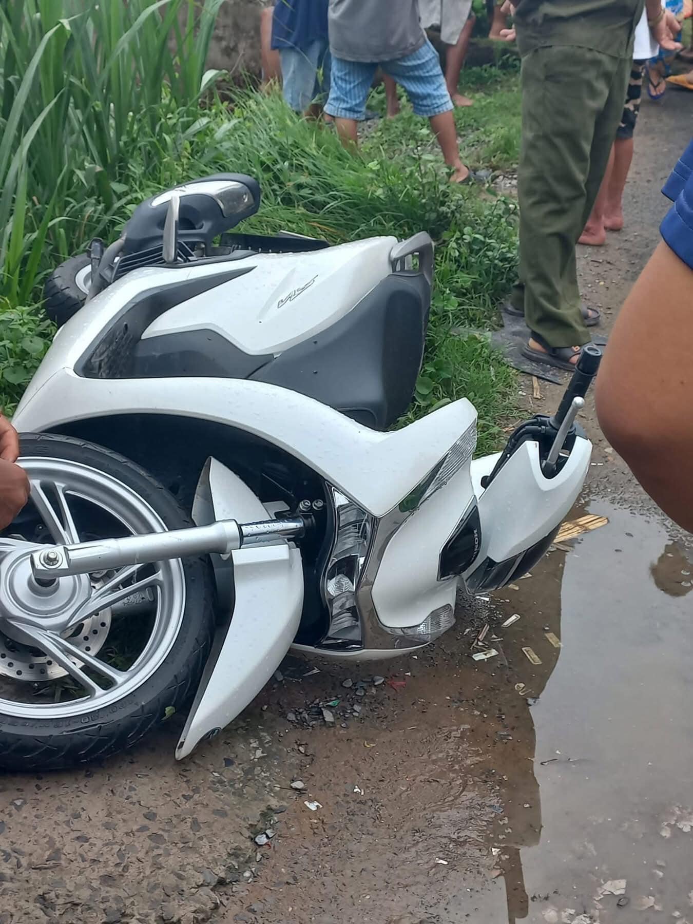 Cây phượng ngã đổ làm dứt dây điện, khiến 2 người bị điện giật tử vong- Ảnh 2.