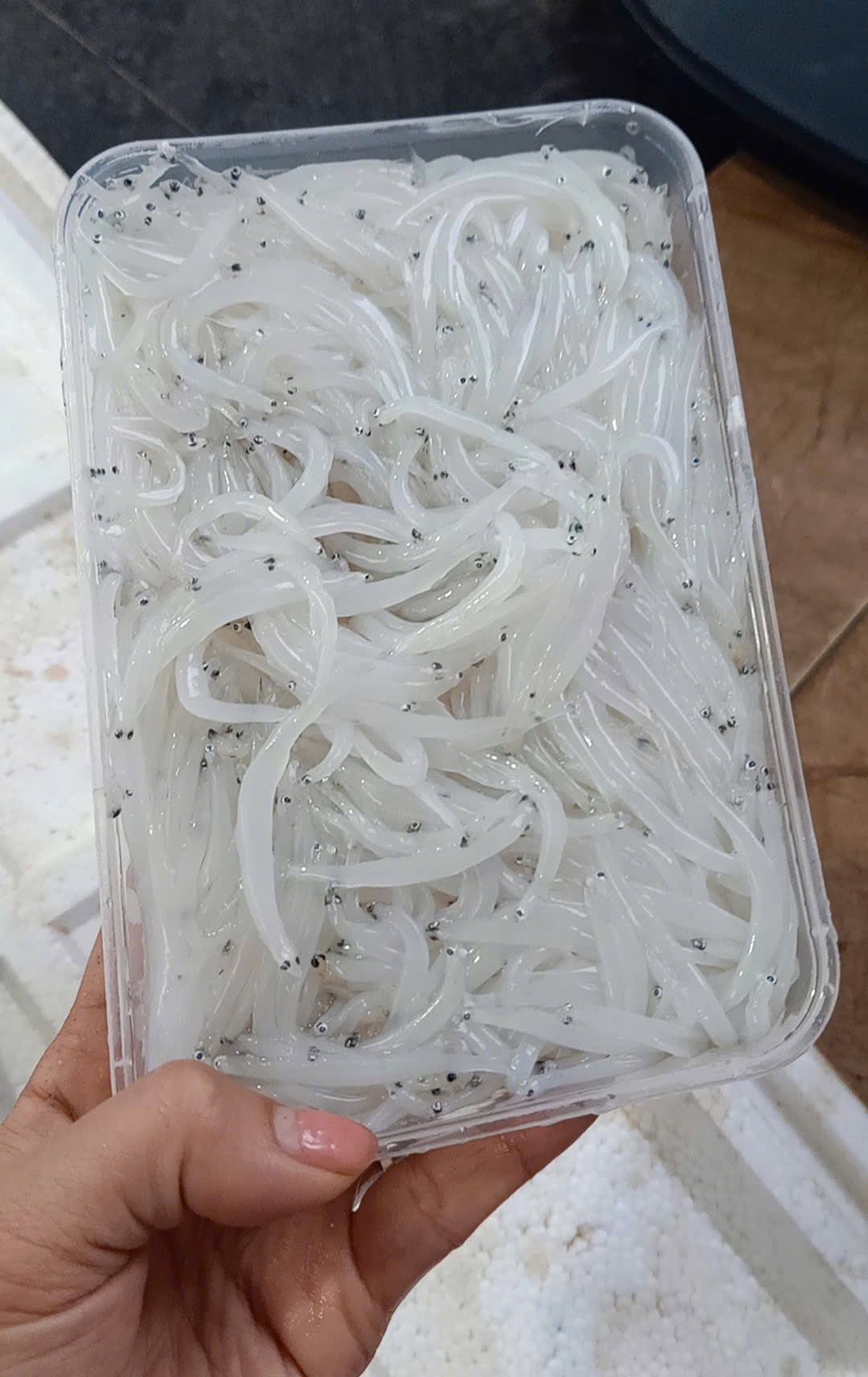 Loại đặc sản được ví như "ngọc trong nước" chỉ có ở sông Đà, nhiều người không ngại vượt hàng trăm cây số đến 2 tỉnh này để thưởng thức- Ảnh 2.
