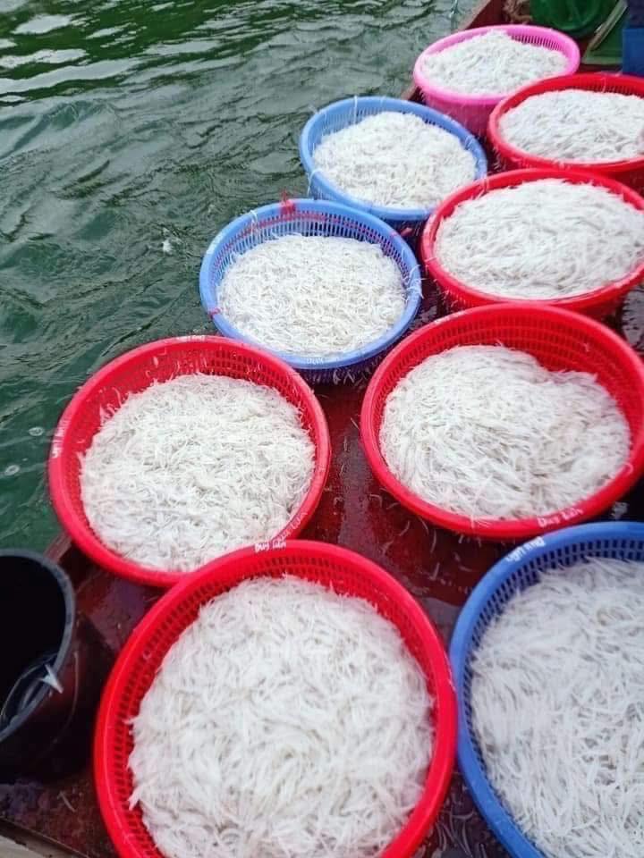 Loại đặc sản được ví như "ngọc trong nước" chỉ có ở sông Đà, nhiều người không ngại vượt hàng trăm cây số đến 2 tỉnh này để thưởng thức- Ảnh 6.