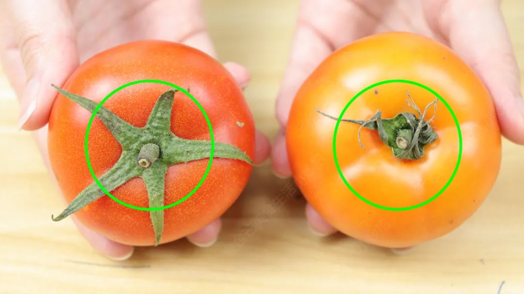 4 loại cà chua độc hại: Loại dễ gây ung thư, loại 