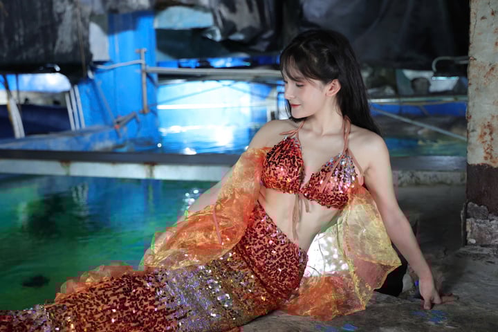 Nữ thạc sỹ xinh đẹp kể chuyện vui buồn nghề làm nàng tiên cá trong thủy cung- Ảnh 3.
