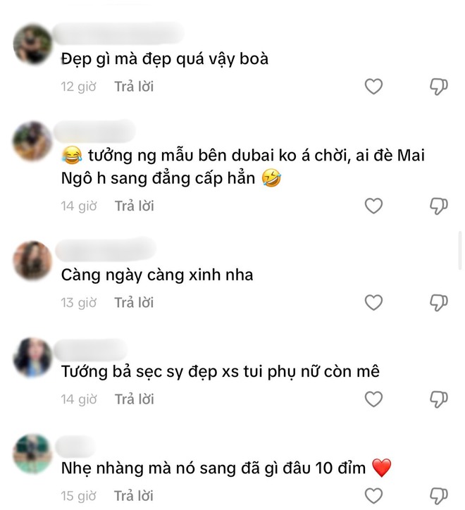 1 Á hậu Việt 