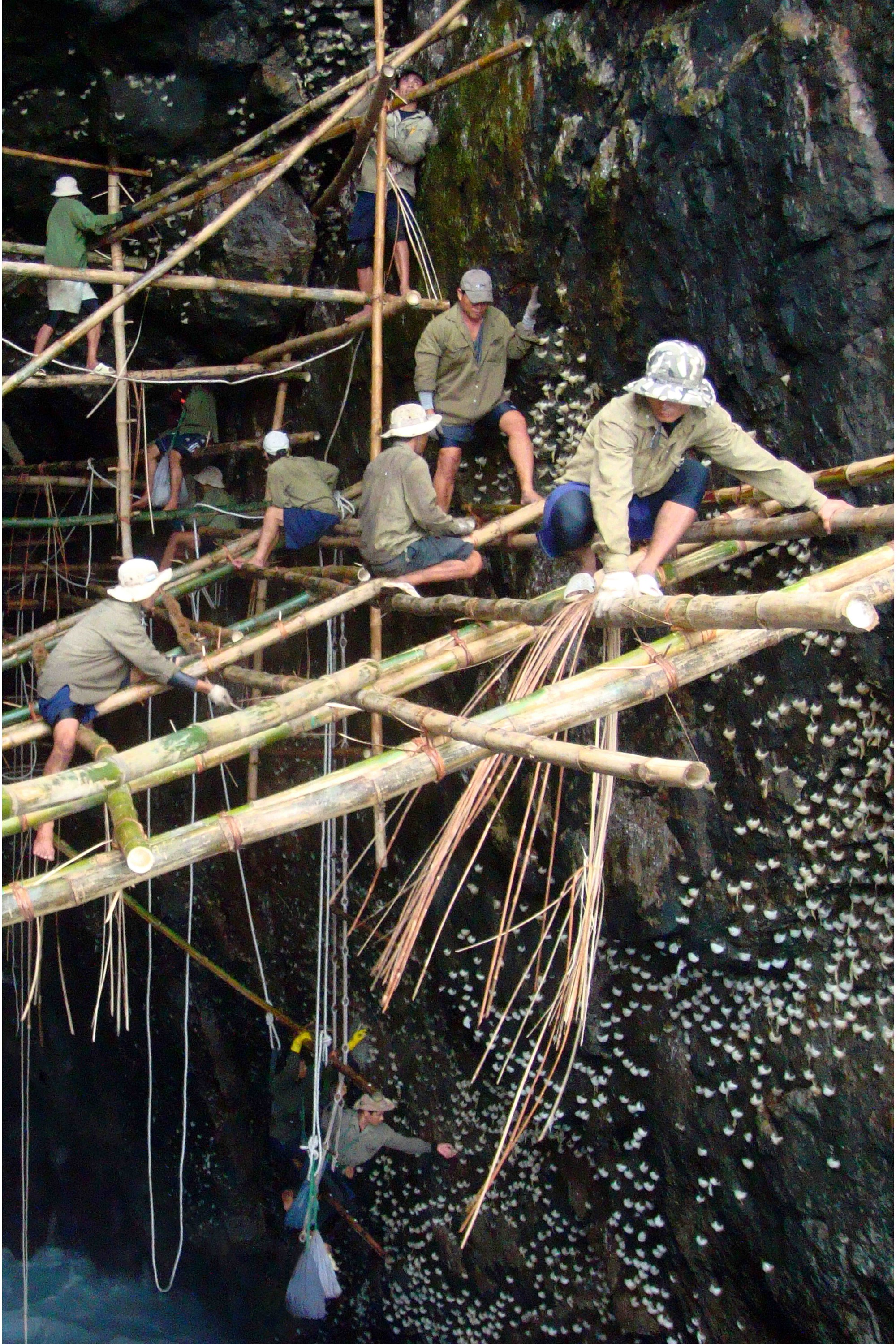Chạm vào tinh hoa ẩm thực Khánh Hòa- Ảnh 1.