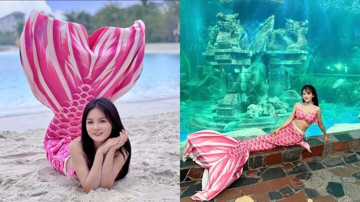 Nữ thạc sỹ xinh đẹp kể chuyện vui buồn nghề làm nàng tiên cá trong thủy cung- Ảnh 2.