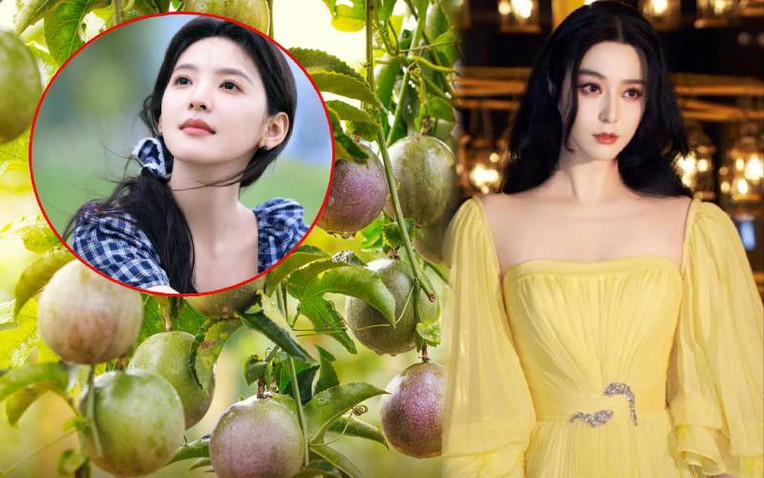 Nước ép "chống nắng" của Phạm Băng Băng, Chương Nhược Nam: Giá rẻ bèo ở Việt Nam, tận dụng có thể làm trắng da, xóa nếp nhăn thần thánh- Ảnh 1.