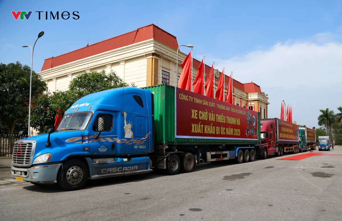 Hải Dương mở cửa vườn, xuất khẩu lô vải đầu tiên năm 2025- Ảnh 2.
