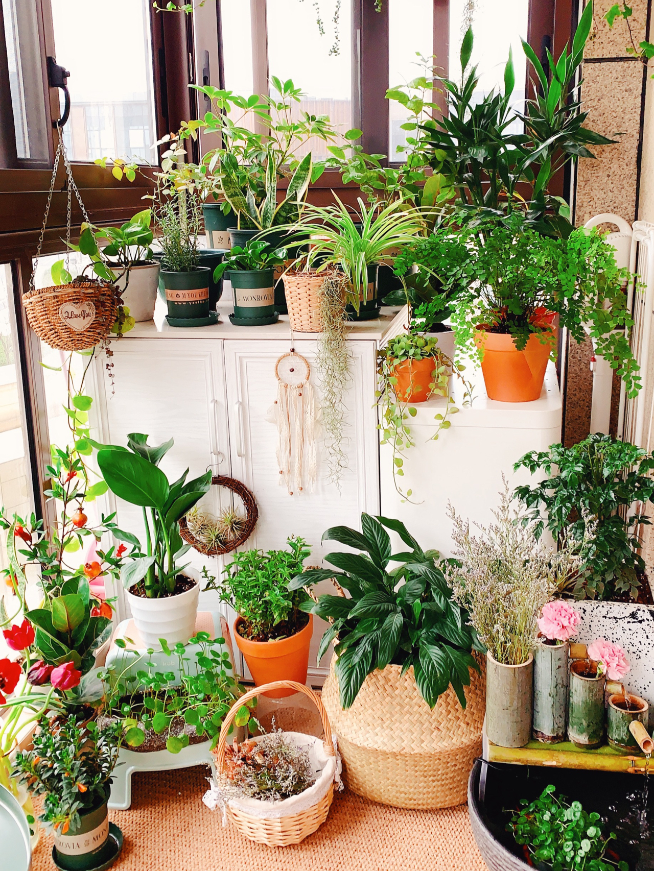 Từ ban công lụp xụp 3m2 đến khu vườn xanh mát mắt: Biến hóa tuyệt vời khiến ai cũng ngỡ ngàng và ao ước- Ảnh 1.