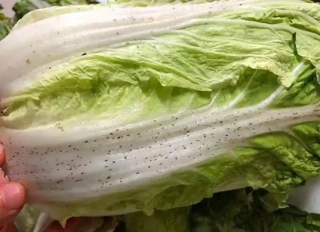 Đi chợ thấy loại rau này xuất hiện đốm đen, đừng vội 