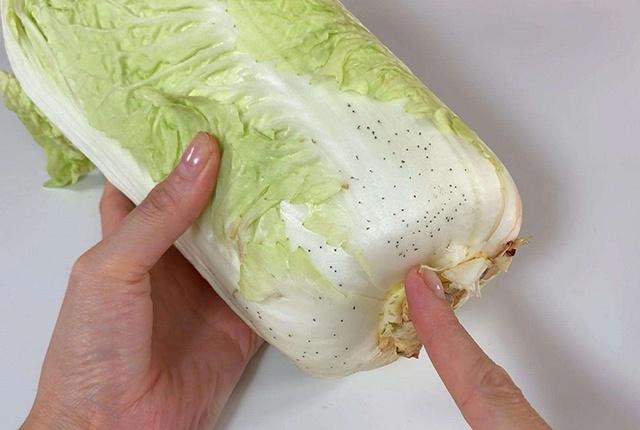 Đi chợ thấy loại rau này xuất hiện đốm đen, đừng vội 