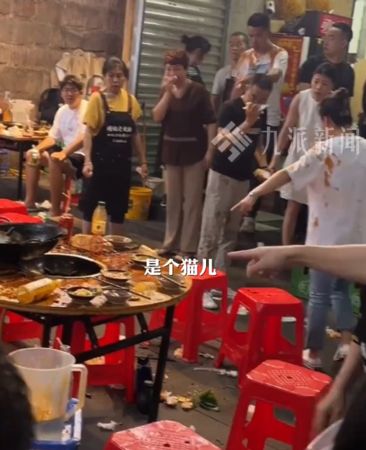 Chú mèo "từ trên trời" rơi thẳng vào nồi lẩu đang sôi sùng sục, thực khách hoảng loạn trước cảnh tượng khó tin- Ảnh 1.