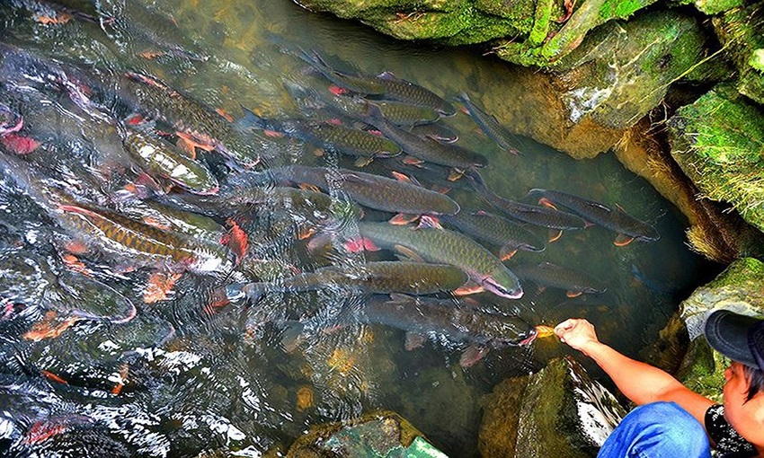 1 địa điểm được ví là “thủ phủ du lịch biển miền Bắc”: Đón gần 1 triệu lượt khách trong dịp 30/4-1/5 năm nay, xe cộ đổ về kín đường- Ảnh 5.