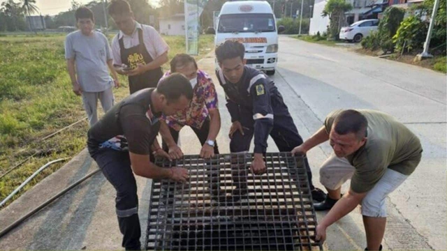 Nghe thấy tiếng kêu dưới cống thoát nước, người dân chạy đến nơi chứng kiến cảnh tượng không ngờ- Ảnh 1.