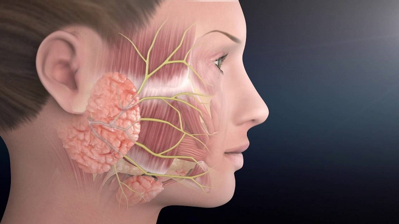 Nam diễn viên Lãnh Thanh bị liệt dây thần kinh số 7: Cảnh báo 3 thói quen gây bệnh mà giới trẻ thường mắc phải- Ảnh 2. Nam diễn viên Lãnh Thanh bị liệt dây thần kinh số 7: Cảnh báo 3 thói quen gây bệnh mà giới trẻ thường mắc phải- Ảnh 2.