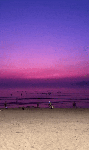 Cảnh tượng gây sốc ở vùng biển đẹp nhất Việt Nam, dân bản địa thốt lên “20 năm sống ở đây chưa từng thấy”- Ảnh 1.