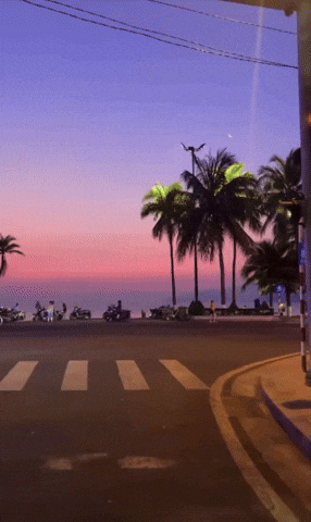 Cảnh tượng gây sốc ở vùng biển đẹp nhất Việt Nam, dân bản địa thốt lên “20 năm sống ở đây chưa từng thấy”- Ảnh 4.