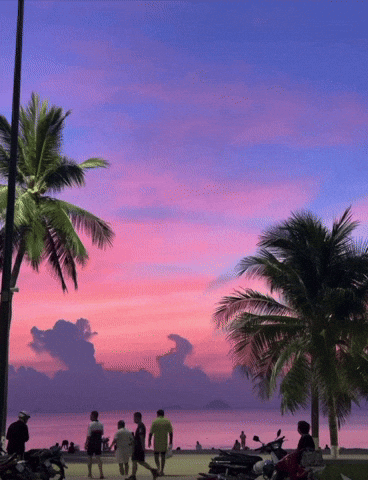 Cảnh tượng gây sốc ở vùng biển đẹp nhất Việt Nam, dân bản địa thốt lên “20 năm sống ở đây chưa từng thấy”- Ảnh 8.