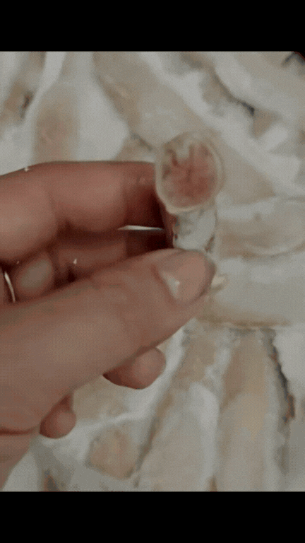 Sự thật về món lòng se điếu đắt đỏ đang gây tranh cãi những ngày qua: Người nói phèo 2 da, người nói do bệnh- Ảnh 4.