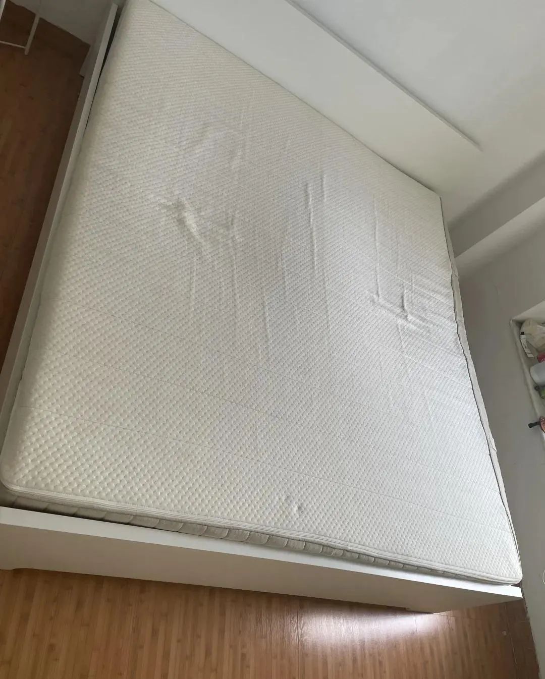 Vì sức khỏe cả nhà tôi khẩn thiết khuyên bạn VỨT 9 món đồ này đi- Ảnh 1.