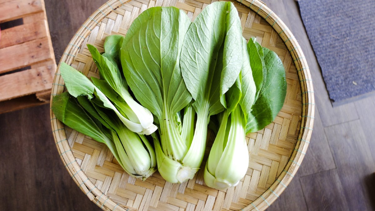 Loại rau từng chỉ dành cho người nghèo nay đã thành Loại rau từng chỉ dành cho người nghèo nay đã thành