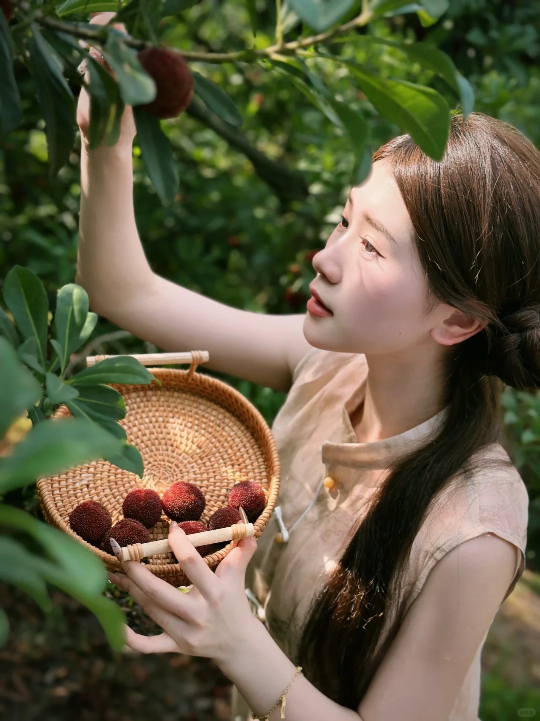 M&ugrave;a thanh mai ch&iacute;n rộ: Thứ quả chua ngọt đẹp như mơ, ăn ngon lại tốt cho sức khỏe- Ảnh 6.