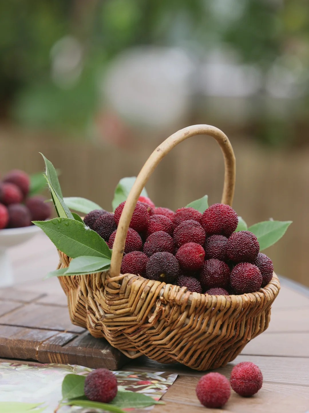 M&ugrave;a thanh mai ch&iacute;n rộ: Thứ quả chua ngọt đẹp như mơ, ăn ngon lại tốt cho sức khỏe- Ảnh 9.