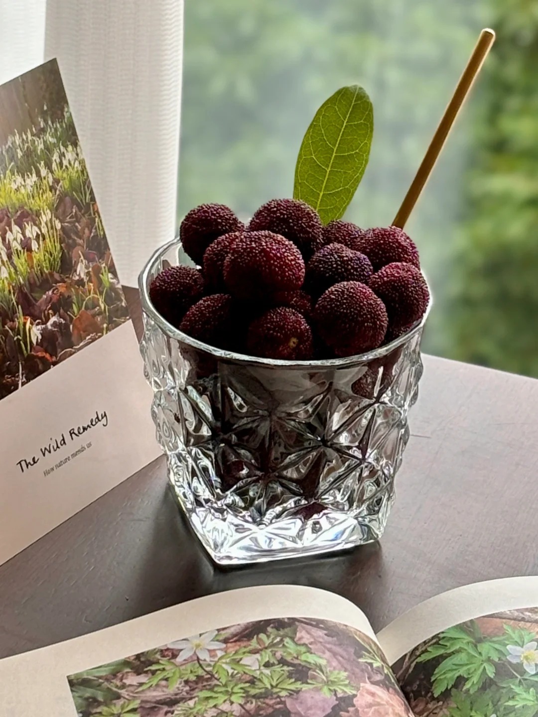 M&ugrave;a thanh mai ch&iacute;n rộ: Thứ quả chua ngọt đẹp như mơ, ăn ngon lại tốt cho sức khỏe- Ảnh 16.