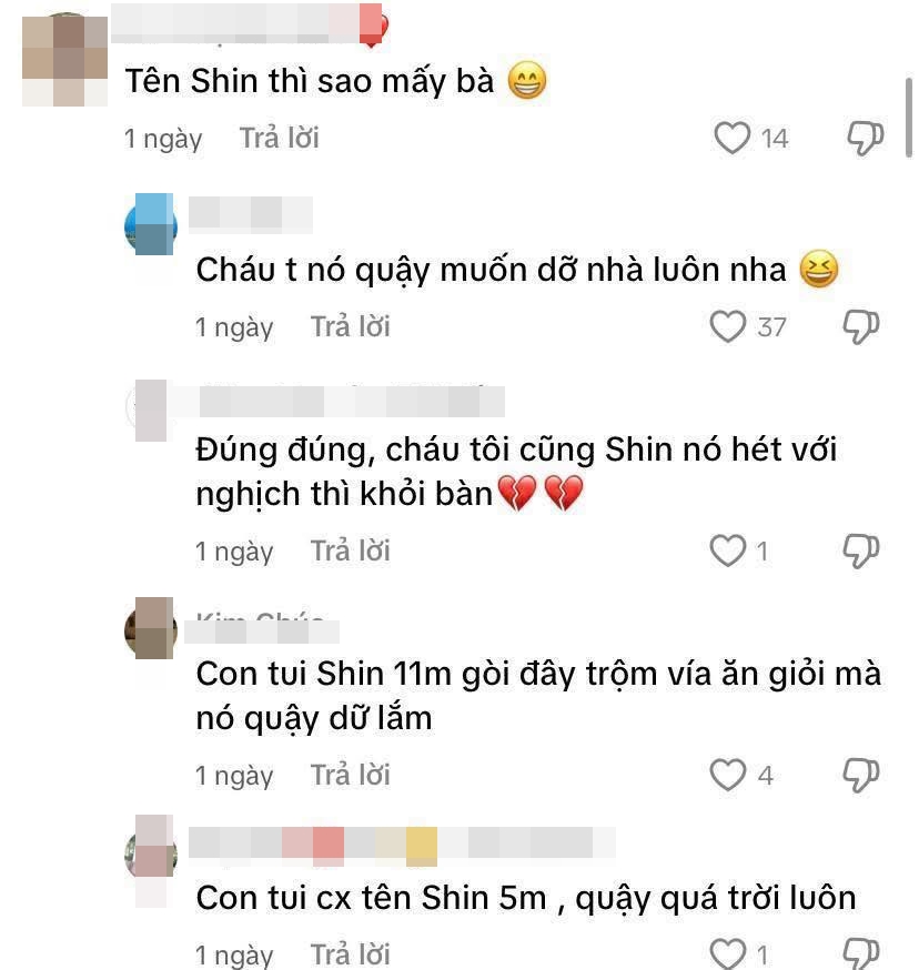 Mẹ bỉm đưa ra cảnh báo cực căng, đặt tên ở nhà cho con phải nghĩ kĩ kẻo hối hận không kịp- Ảnh 7.