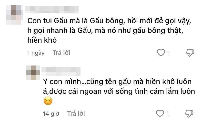Mẹ bỉm đưa ra cảnh báo cực căng, đặt tên ở nhà cho con phải nghĩ kĩ kẻo hối hận không kịp- Ảnh 9.
