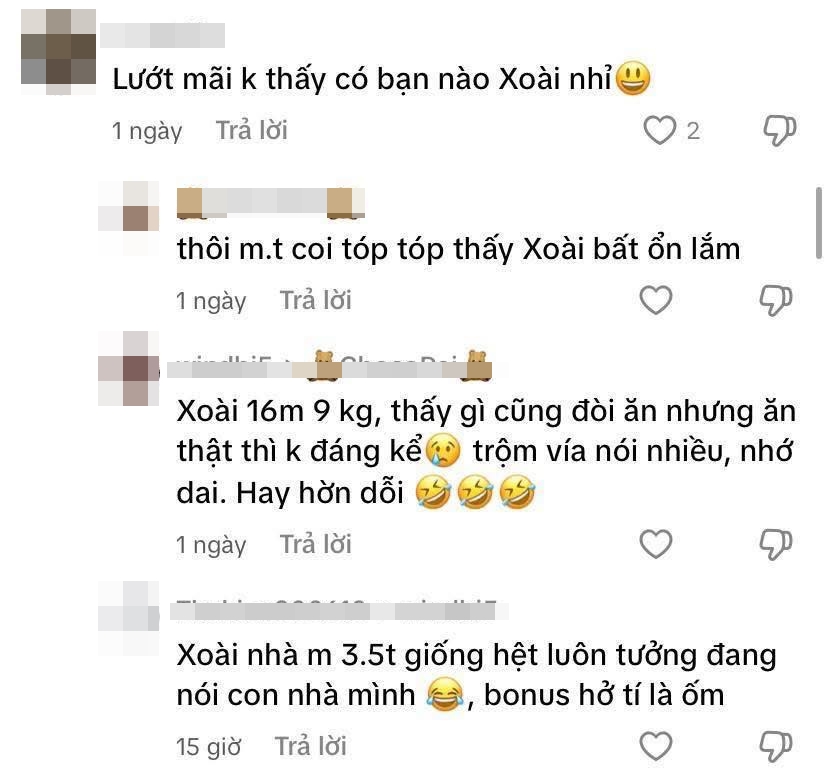 Mẹ bỉm đưa ra cảnh báo cực căng, đặt tên ở nhà cho con phải nghĩ kĩ kẻo hối hận không kịp- Ảnh 11.