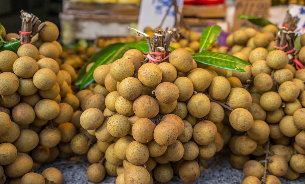 Top 9 trái cây dễ 